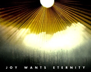 joy_wants_eternity-you_who_pretend_to_sleep